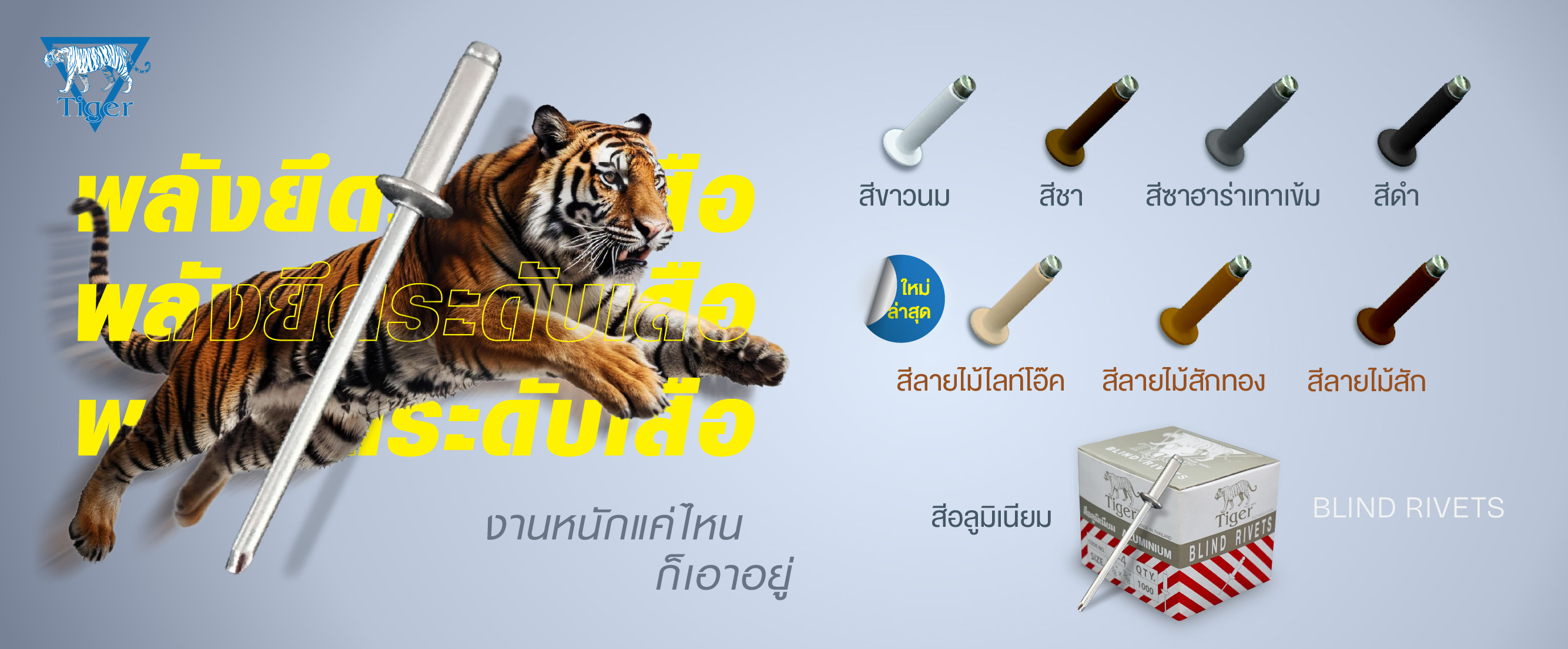 รีเว็ต tiger